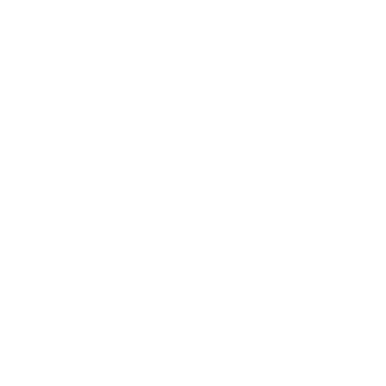 شركة الصادقون للنقل